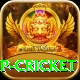 2022 world cup cricket Ultimate v2.1.4