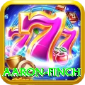 aaron finch Turbo v2.8.6