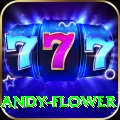 andy flower Deluxe Edition v4.1.0