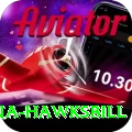antigua hawksbill Games (Casino & Earning) Plus v4.1.3