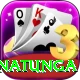 arjuna ranatunga Master Pro v4.8.4