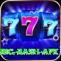 bbl big bash apk Deluxe v5.1.0