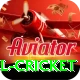 bbl cricket Apps (Tools & Injectors) Plus v4.2.2