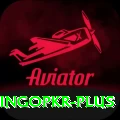 bingopkr Max v4.8.2