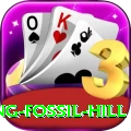 chhusang fossil hill Plus v4.8.3