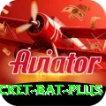 cricket bat Casino Extreme v2.3.6