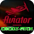 cricket pitch Games (Casino & Earning) Premium v3.6.2
