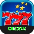 crickex Premium Edition v3.1.6