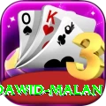 dawid malan Pro Edition v4.9.5