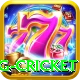eng cricket Premium v2.0.9