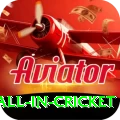 fastest ball in cricket Turbo Pro v1.7.0