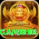 gautam gambhir Apps (Tools & Injectors) Pro v4.1.7