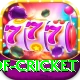 god of cricket Games (Casino & Earning) Master v5.8.5