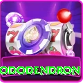 helambu rhododendron Games (Casino & Earning) Ultimate v1.3.3