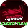 hong kong cricket team Pro Max v2.0.6