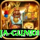 hyangja gumdi Plus Pro v2.0.5