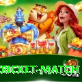 india cricket match Apps (Tools & Injectors) Turbo v1.0.7