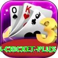 india pakistan cricket - Prime Edition v4.1.5