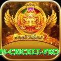 india pakistan cricket Slot Machine Super
