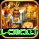 international cricket Turbo v5.3.2