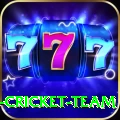 ireland cricket team Elite v5.2.4