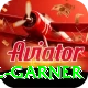 joel garner Ultimate Pro v4.4.1