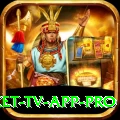 live cricket tv app Champion - Daily Bonus