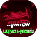 lungi ngidi Turbo Pro v4.0.9