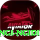 lungi ngidi Turbo Pro v4.0.9