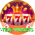 most test wickets Gold Edition v5.4.3