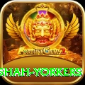 naseem shah yorkers Games (Casino & Earning) VIP v3.8.9