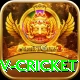 ndtv cricket VIP Edition v2.0.5