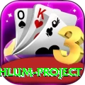 neelum jehlum project Pro Max v4.3.0