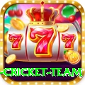 new zealand cricket team App