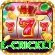 online cricket Premium Edition v3.0.8