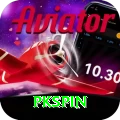 pkspin Deluxe Edition v4.7.7
