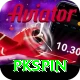 pkspin Deluxe Edition v4.7.7