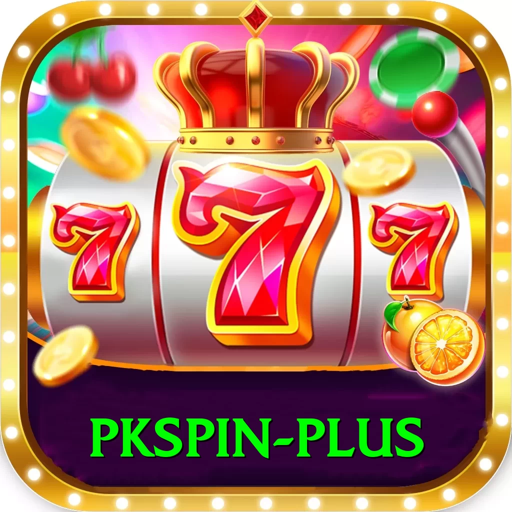 pkspin Plus Edition v2.8.0 - 2