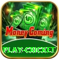 play cricket Apps (Tools & Injectors) Gold v4.6.6