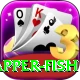 red snapper fish Premium Plus v5.6.7