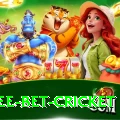 risk free bet cricket Games (Casino & Earning) Elite v2.9.6
