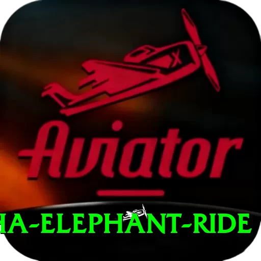 sauraha elephant ride Master Pro v4.3.4 - 2