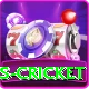 sports cricket Plus Edition v2.4.7