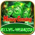 steve waugh Gold Edition v5.3.3