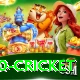 t20 cricket Plus v4.3.2