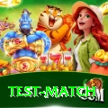 test match Plus v3.2.1