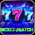 to day cricket match Deluxe Edition v2.5.3