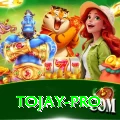 tojay Gold Pro v4.6.4