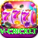 v cricket VIP Edition v1.6.1