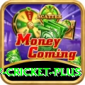v cricket - Casino Extreme